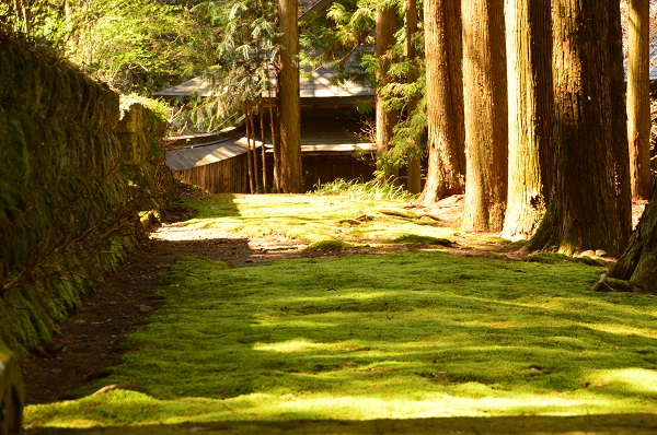 DSC_9222.JPG