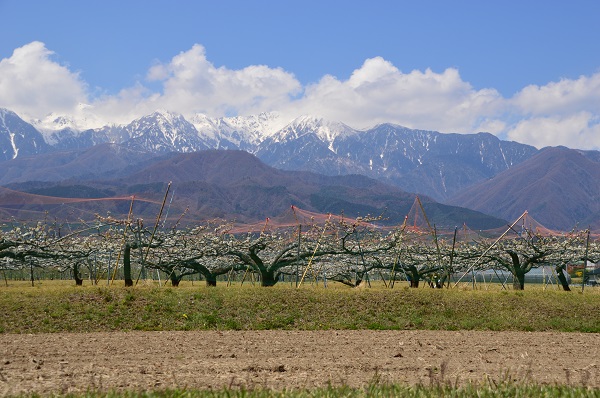 DSC_9164.JPG
