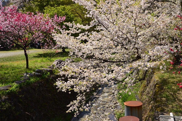 DSC_9326.JPG