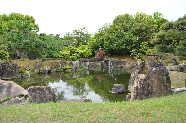 DSC_9876.JPG