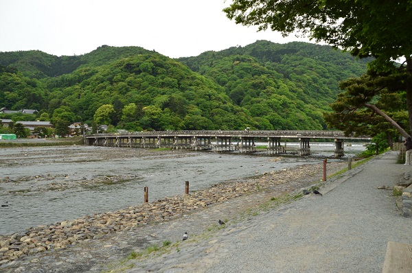 DSC_9963.JPG