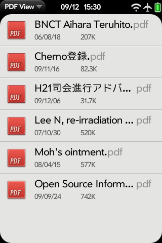 PDF Viewを開いたところ。