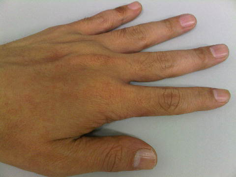Bold9700.jpg