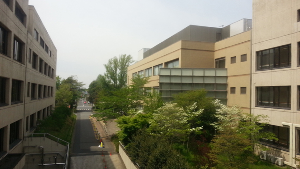 20130423_103008.jpg