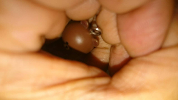 8896.jpg