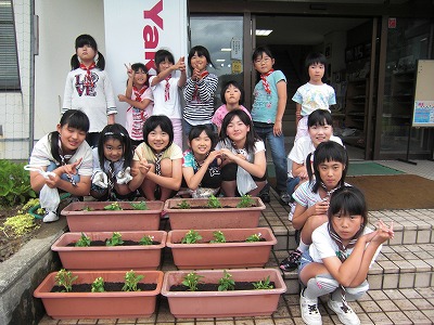 4団
