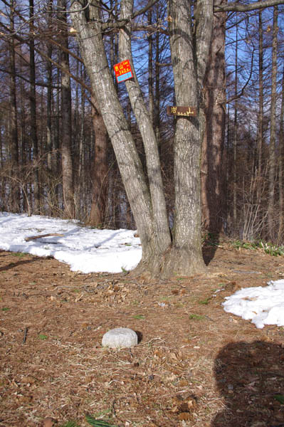 BC05iwy2.JPG