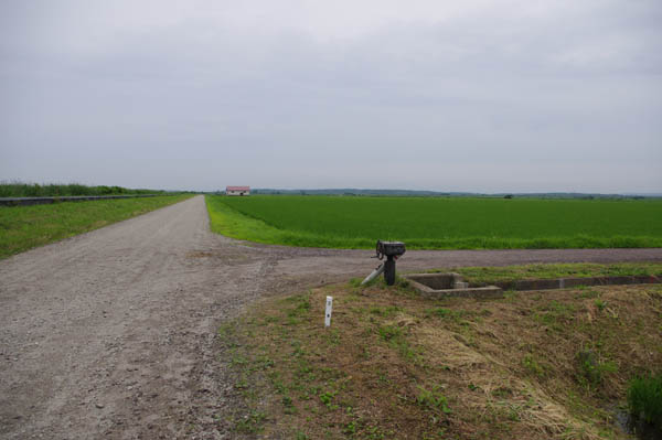 AG11hgn2.JPG