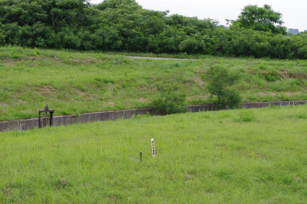 AG11onm1.JPG