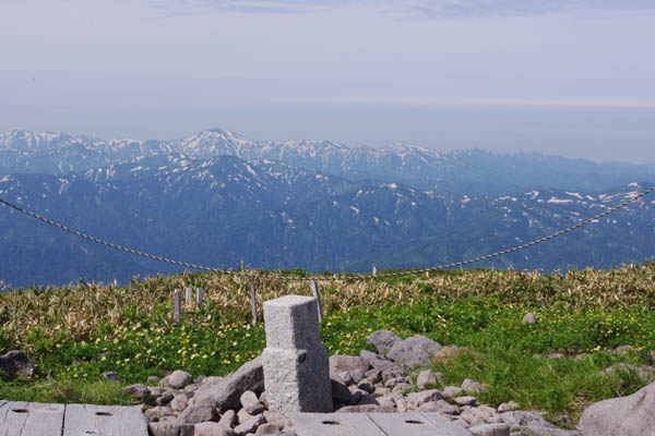 AF26ubg1.jpg