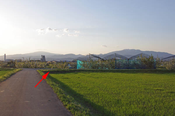 AE08krz2.JPG