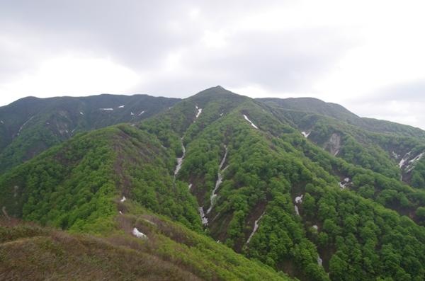 BF04kms3.jpg