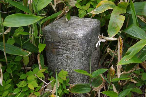 BG07tor2.JPG