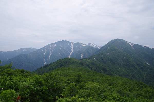 BG07tor4.JPG