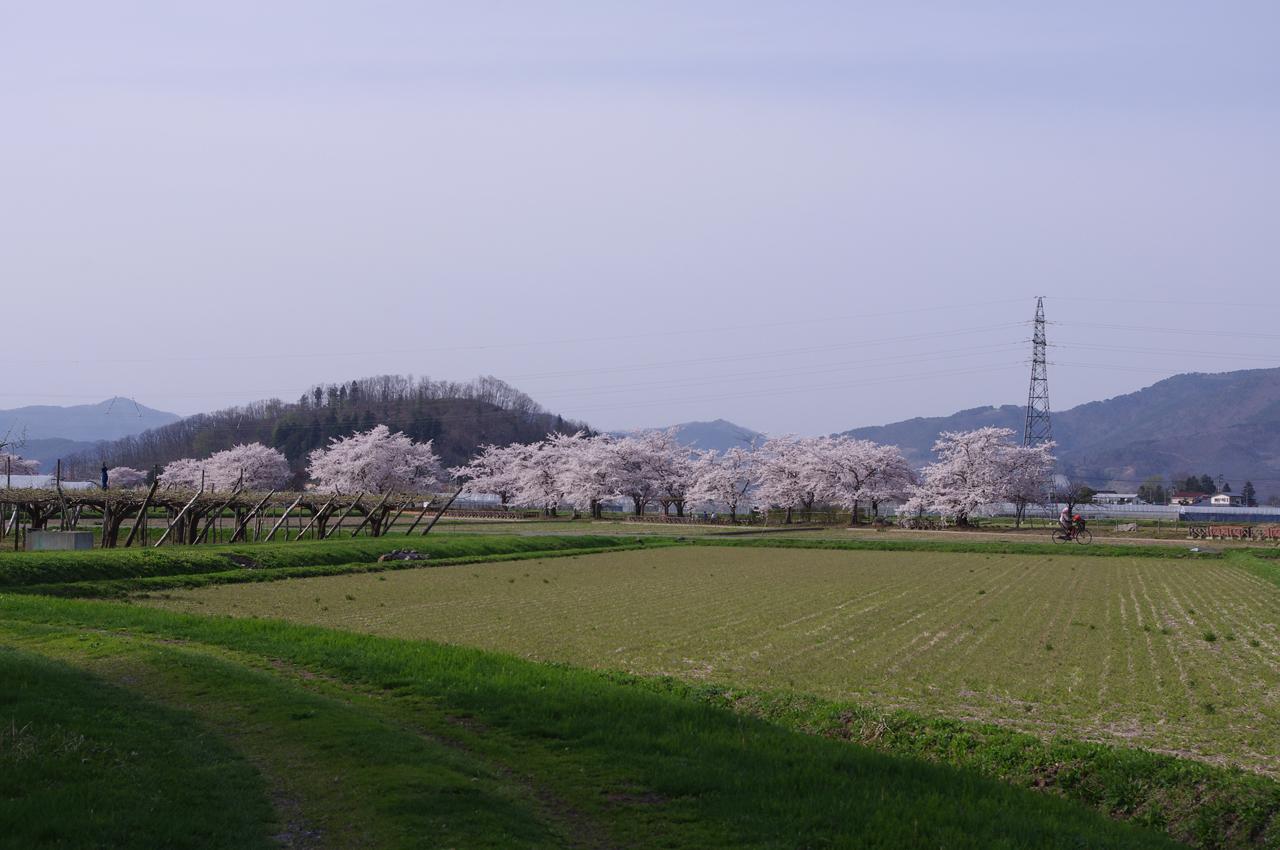 CD28aim11.JPG
