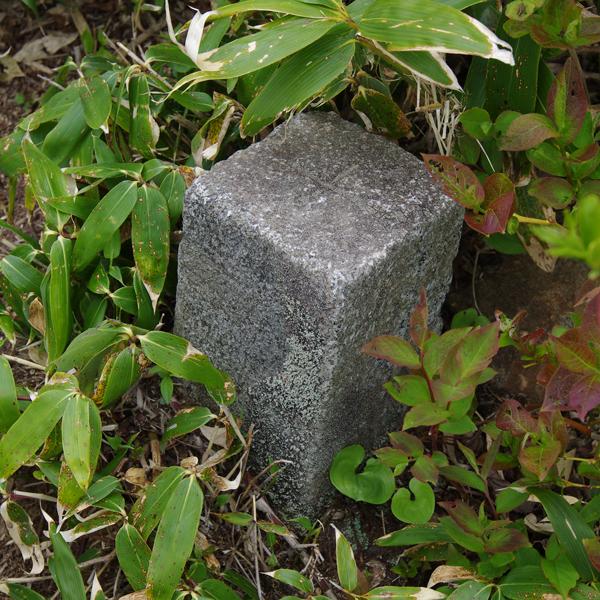 CF02usi6.jpg