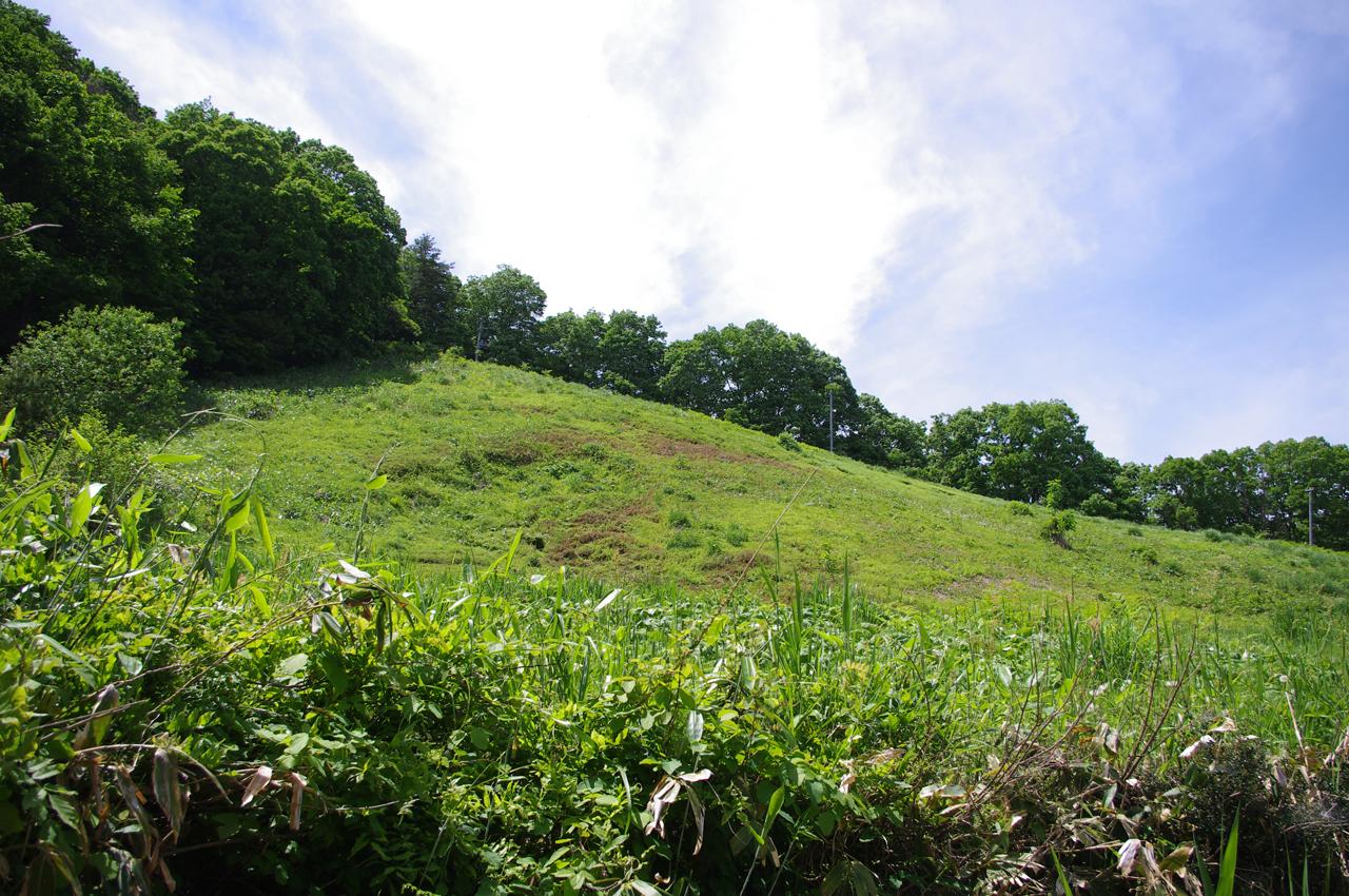 DF01ogu2.JPG