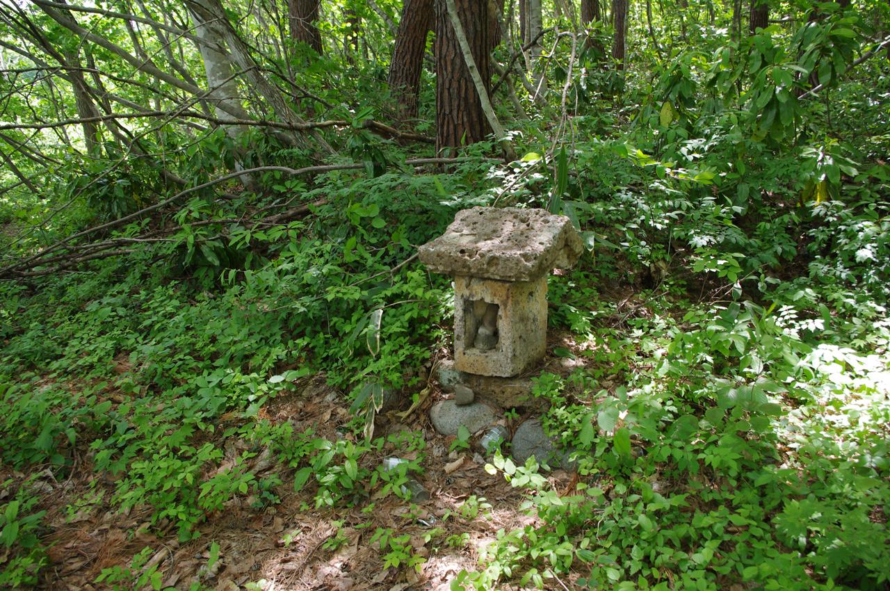 DF01ogu5.JPG
