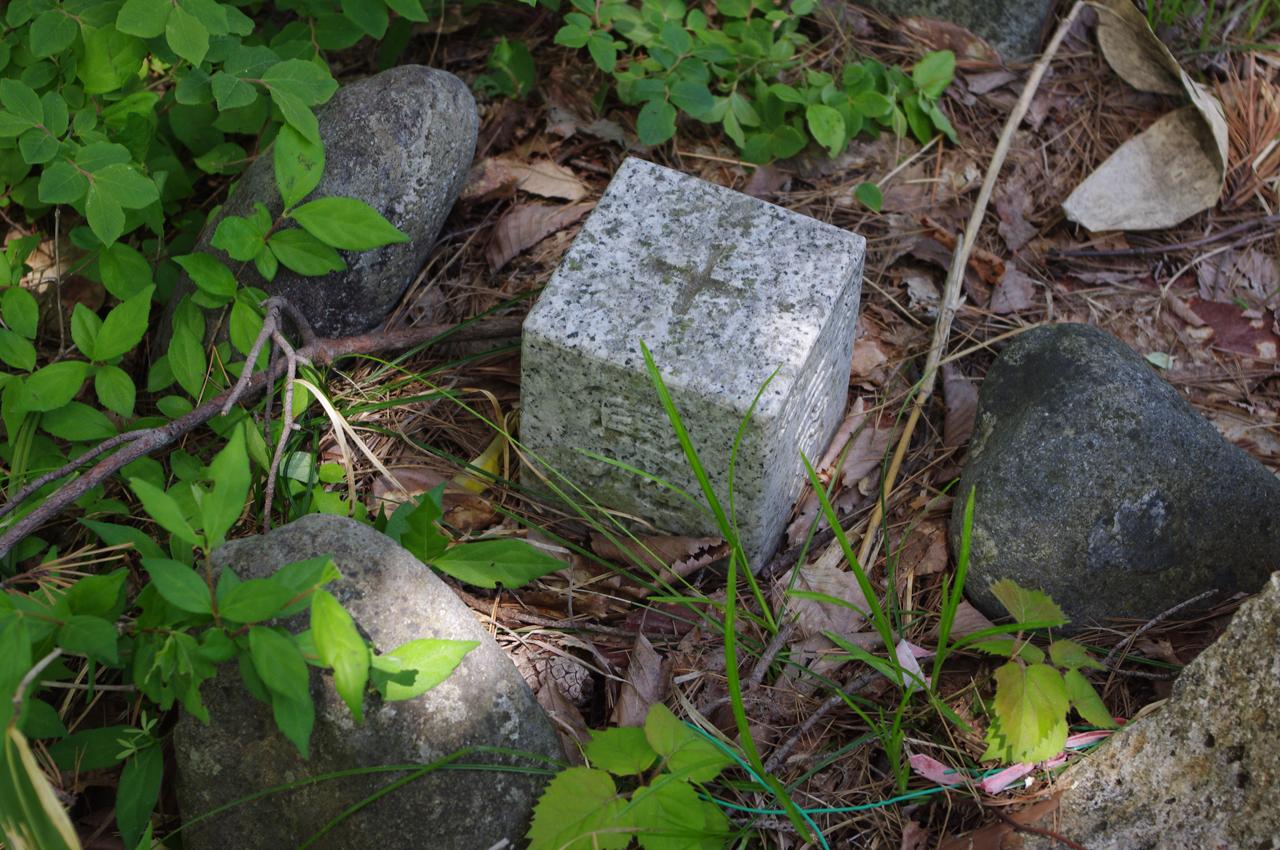 DF01ogu14.JPG