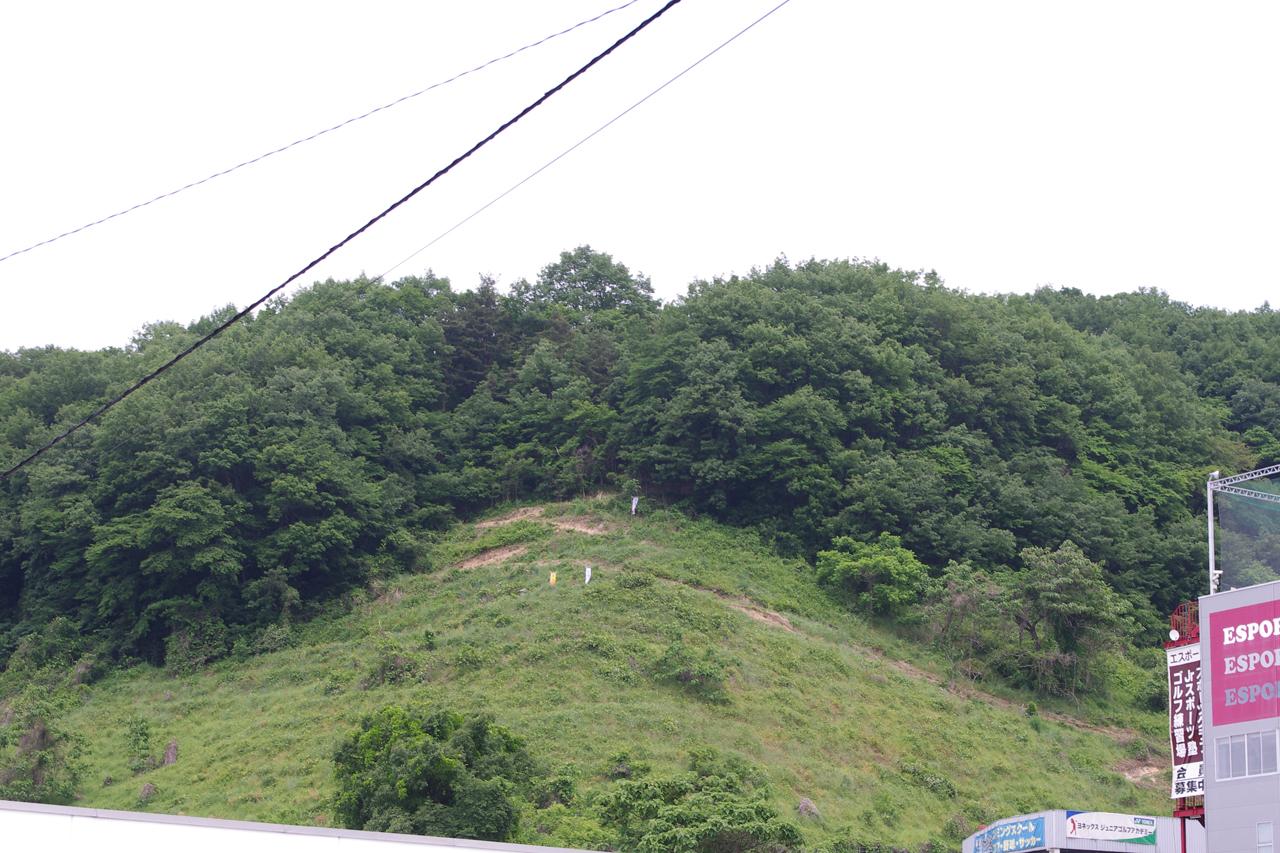 DF08tak1.JPG