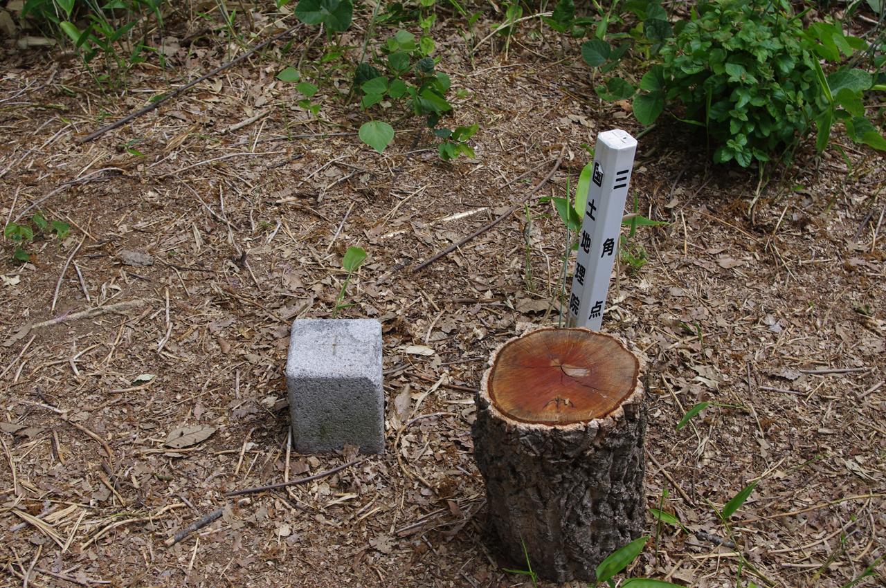 DF08tak11.JPG