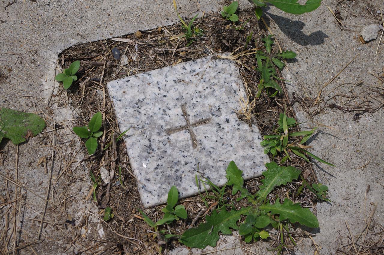 DF30mur3.JPG