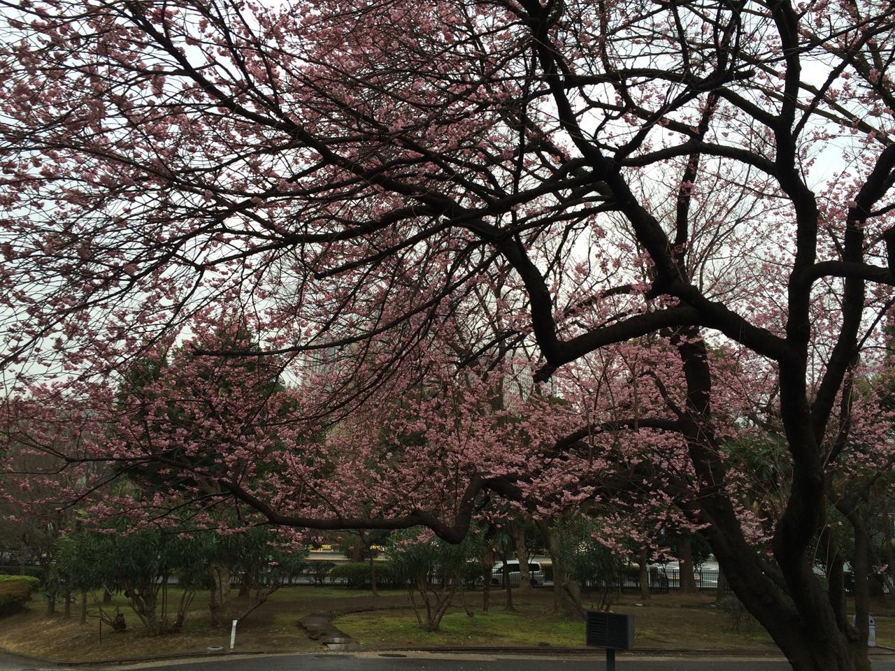 h001bc.jpg