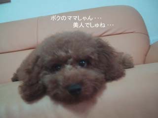 アンディ