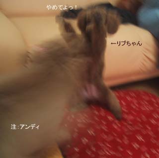 やめてよっ!