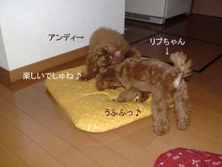 楽しい♪