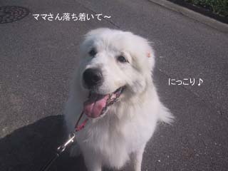 にっこり♪