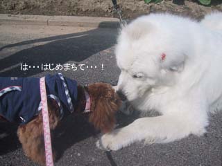 ご挨拶