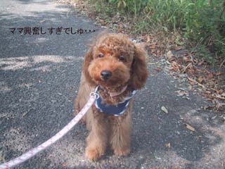 冷静アンディ