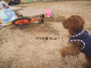 ボクも頑張る!