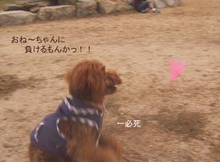 必死でしゅ!