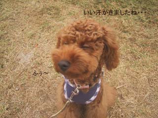 スポーツの秋でしゅ