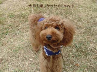 楽しかった♪