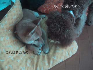 それ貸ちて!
