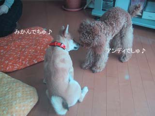 ご挨拶