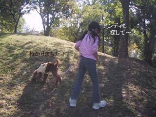 秋はどこ?