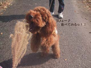 食べるっ!
