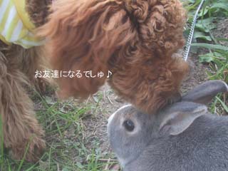 ペロペロ♪