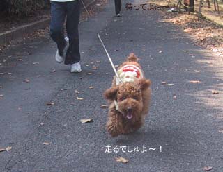 走るでしゅ〜!