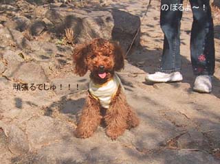 今から登るよ!