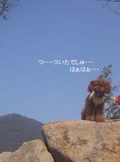 頂上でしゅ!