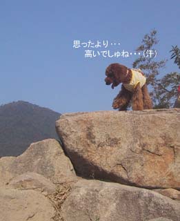 高いね・・・
