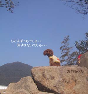ひとりぼっちでしゅ・・・