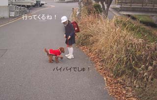 見送り♪