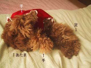 答え♪