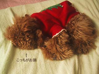 ネンネ・・・